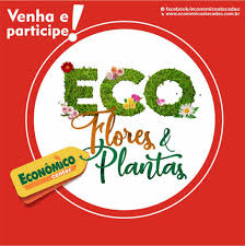 Eco Flores e Plantas