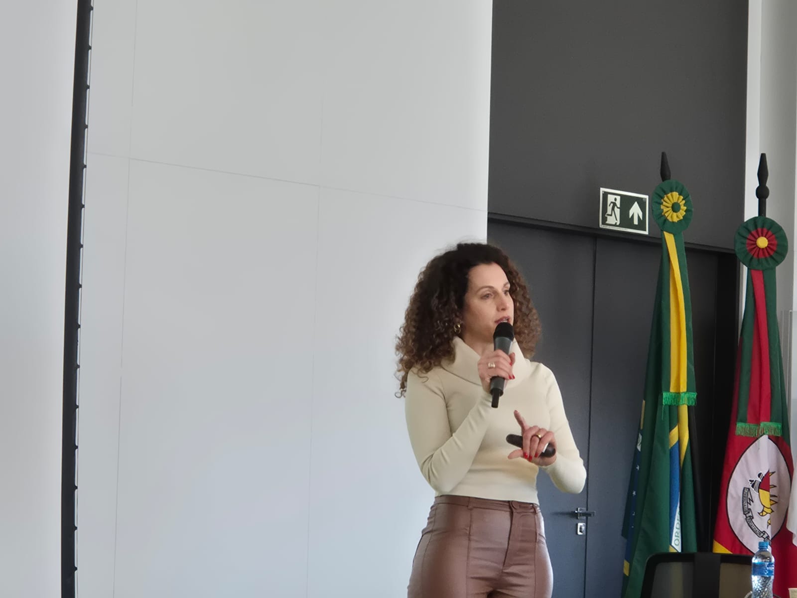 Advogada, doutora em Direito e coordenadora de políticas públicas para mulheres em Erechim, Joana Ma